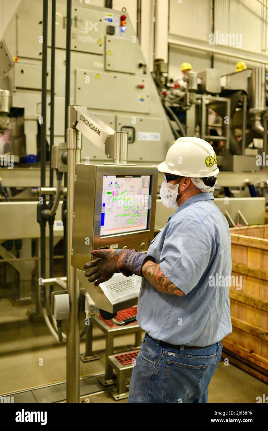 Traitement des canneberges à l'usine moderne et ultramoderne Ocean Spray de Wisconsin Rapids, Wisconsin, États-Unis Banque D'Images