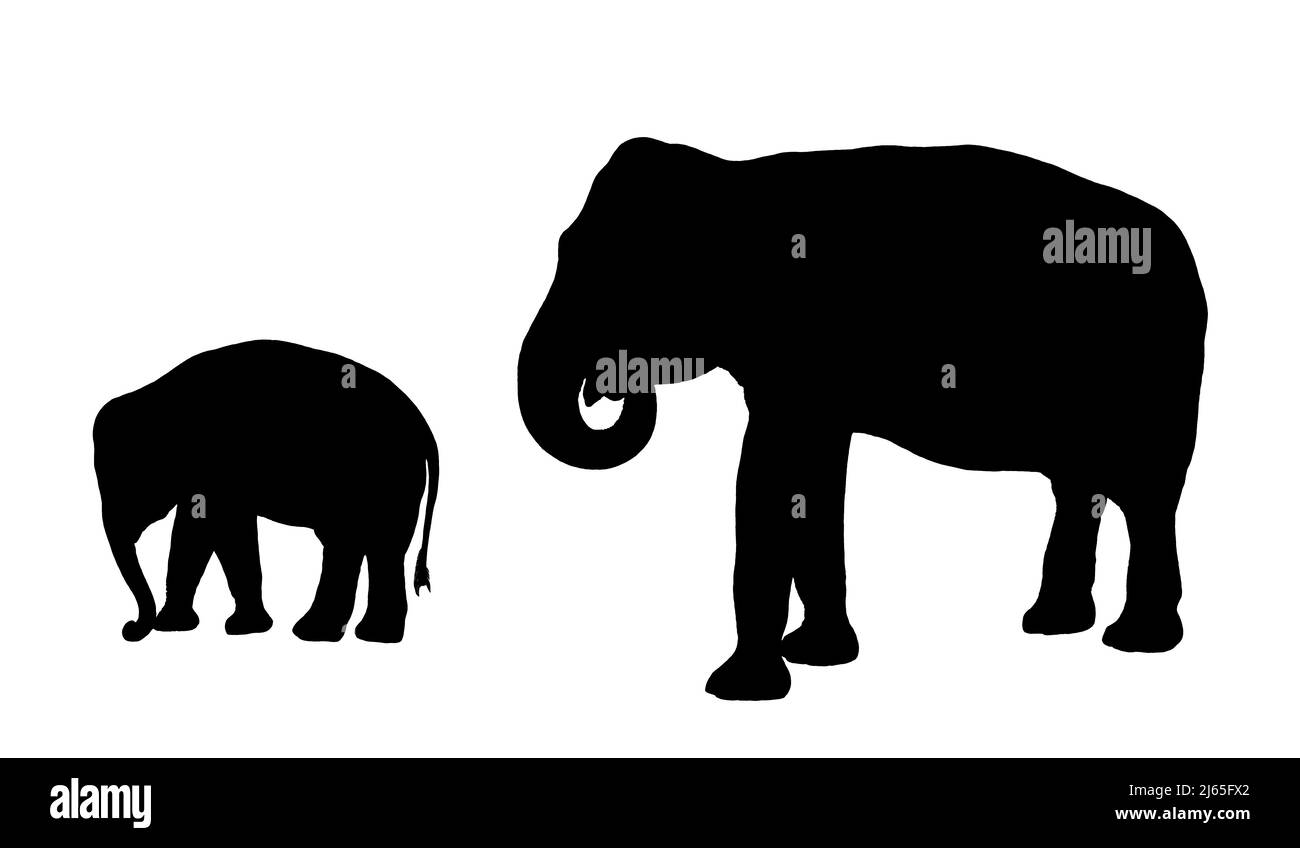 Éléphant indien avec bébé isolé noir blanc illustration. Photo avec la famille des éléphants d'asie. Banque D'Images
