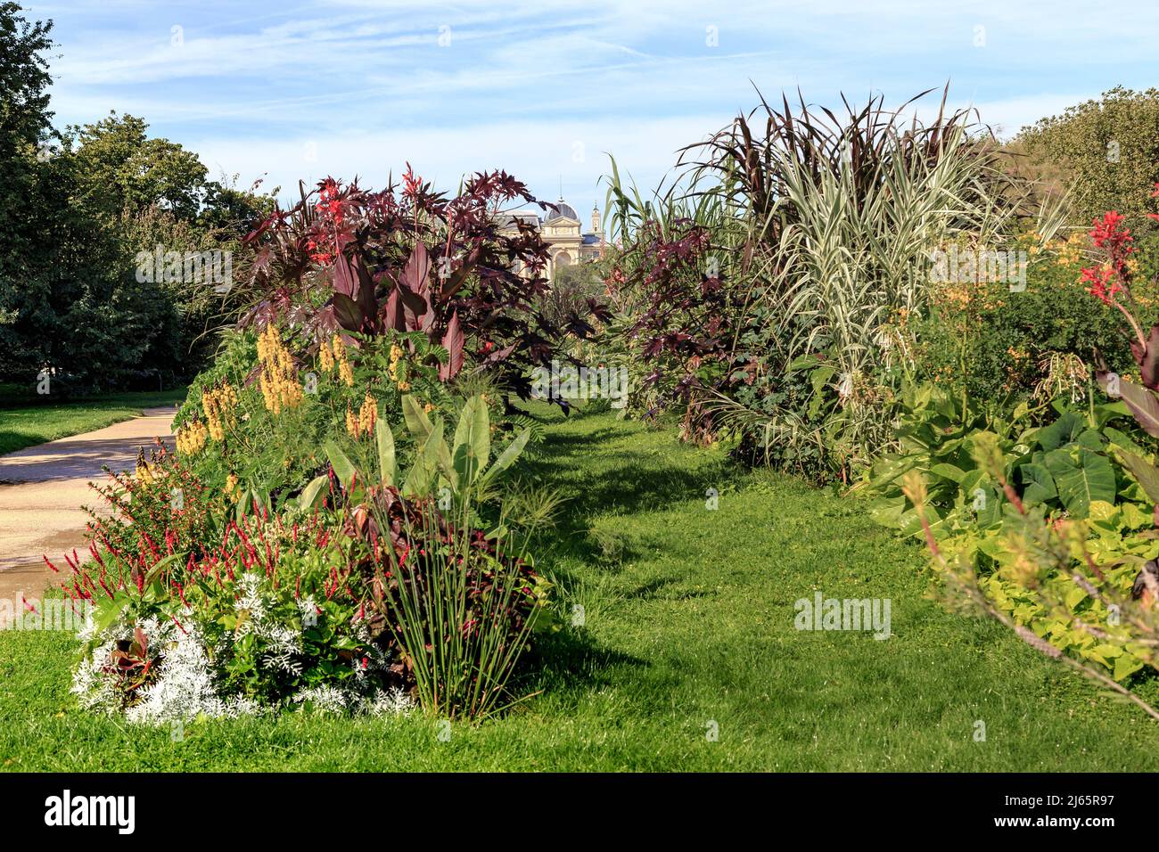 PARIS, FRANCE - 30 AOÛT 2019 : ce sont des pelouses avec des plantations ouvertes de différentes plantes dans le jardin botanique des plantes. Banque D'Images