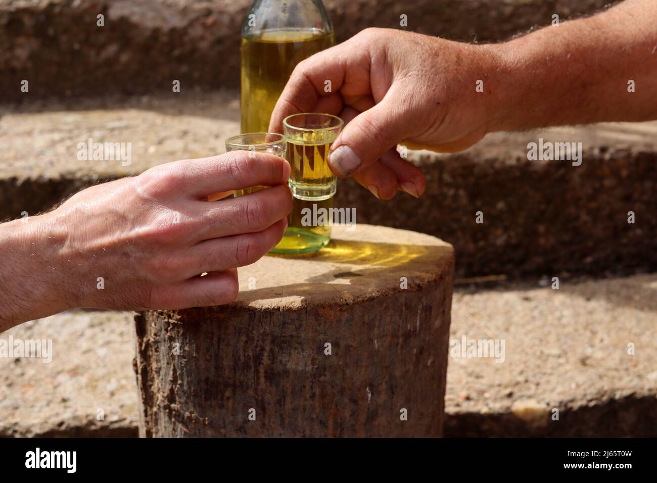 Les mains du Mans toasting avec la boisson serbe traditionnelle prune brandy rakija slivovitz en plein air sur bois rétro en rondins dans la campagne Banque D'Images