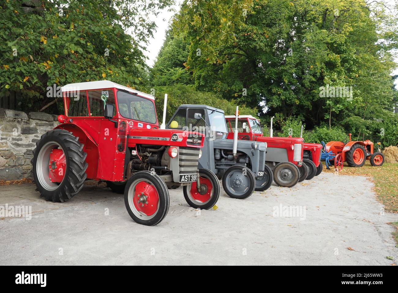 Anciens tracteurs Massey Ferguson, types 130, TET-20, 35, 65MK1, De 1953 à 1965, dans les couleurs rouge et gris avec un vieux Fordson à l'extrême droite de l'image. Banque D'Images