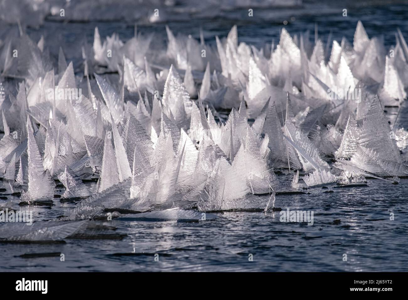 Bizarre Eiskristale auf einem kleinen Voir im isländischen Hochland Banque D'Images