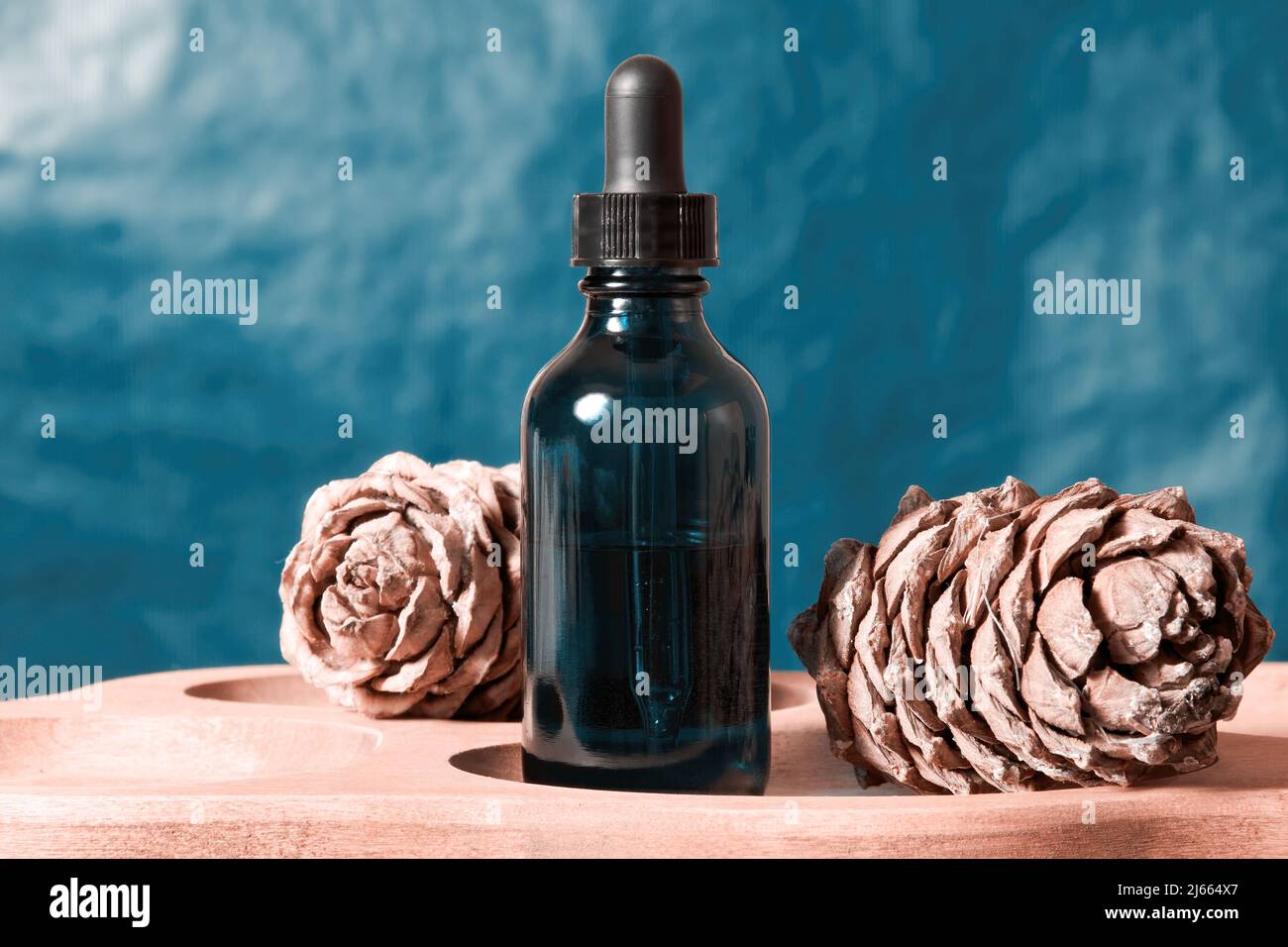 Bouteille bleue avec sérum cosmétique olive et cônes naturels décoratifs. Cosmétiques et soins du corps Banque D'Images