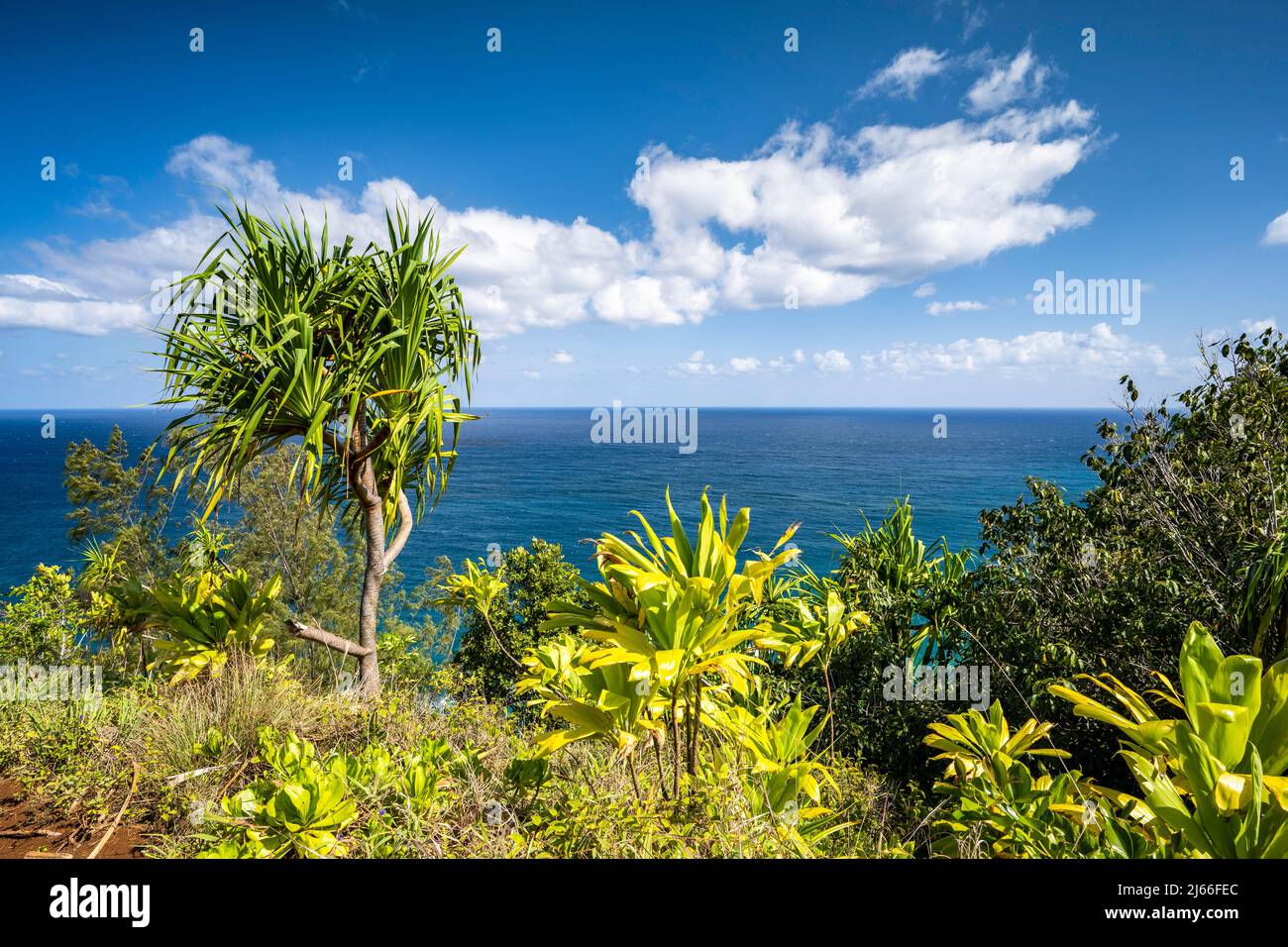 Sentier de l'entregot des Kalalau, côte de Na Pali, Napali Kueste, Kauai, Hawaï, ÉTATS-UNIS Banque D'Images