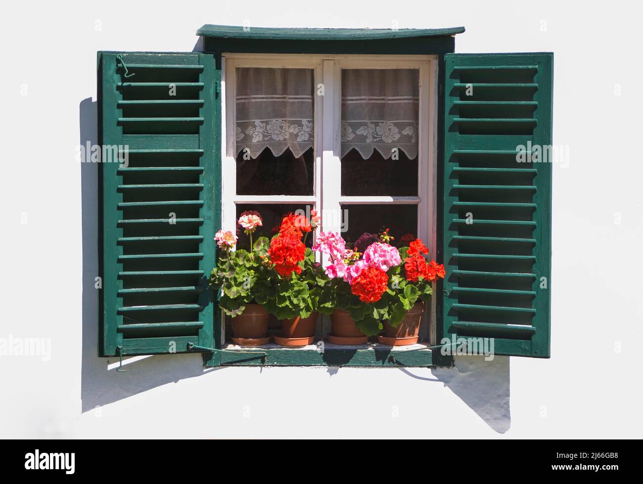 Blumenfenster mit Belagonien und gruenen Fosterlaeden, Bauernhaus, Mattsee, Flachgau, Land Salzbourg, Oesterreich Banque D'Images