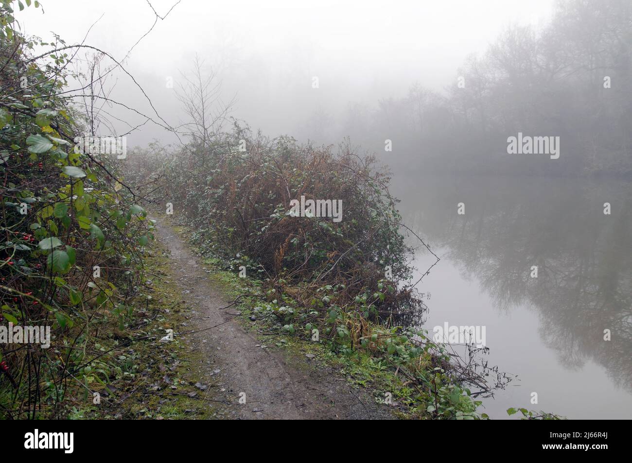 Sentier au bord d'une rivière brumeuse sur la piste d'Ely, Cardiff, Royaume-Uni Banque D'Images