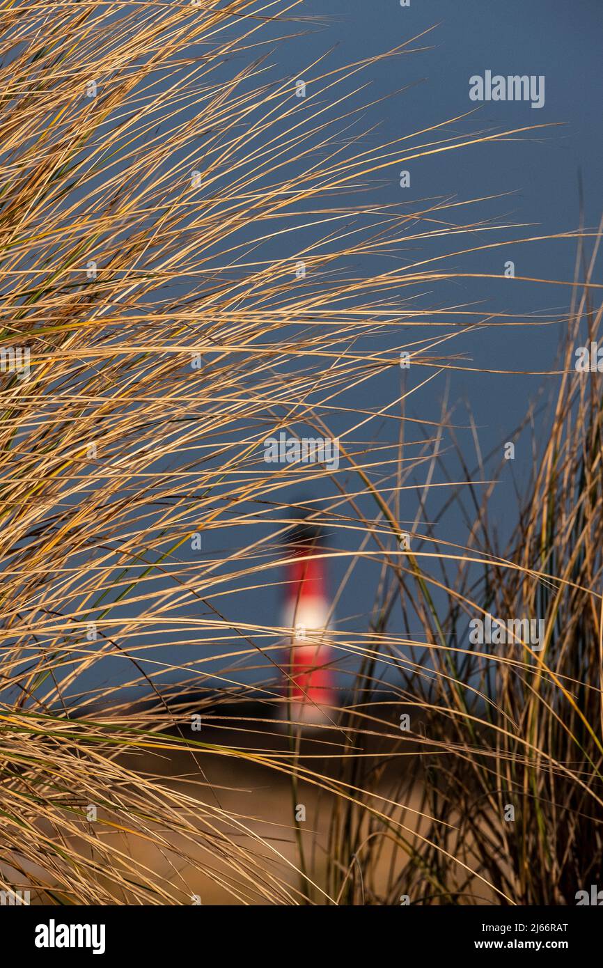 Leuchtturm auf der Insel Sylt, Nordfriesische Inseln (Allemagne) Banque D'Images
