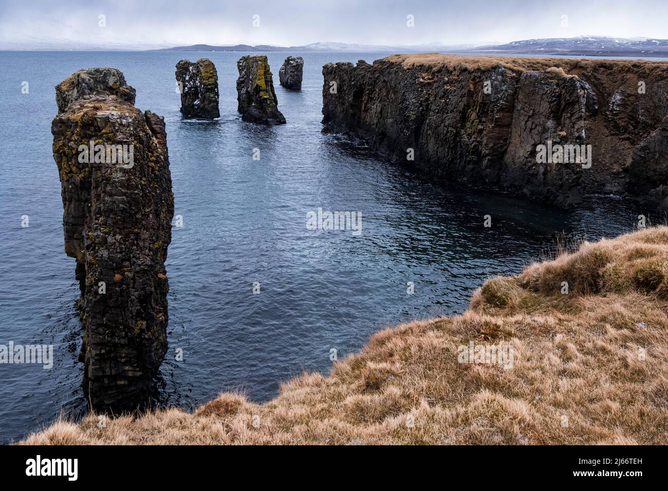Halbinsel Fuglabjarganes BEI Vopnafjörður / Ostisland. Vogelsfelsen, Steilküste, Ziel einer kurzen schönen Wanderung. Banque D'Images