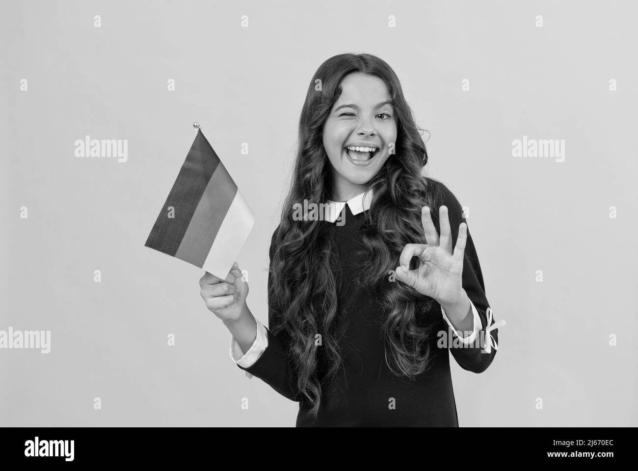 heureux wencking enfant tenir drapeau allemand fond jaune montrant ok geste, l'éducation à l'étranger Banque D'Images