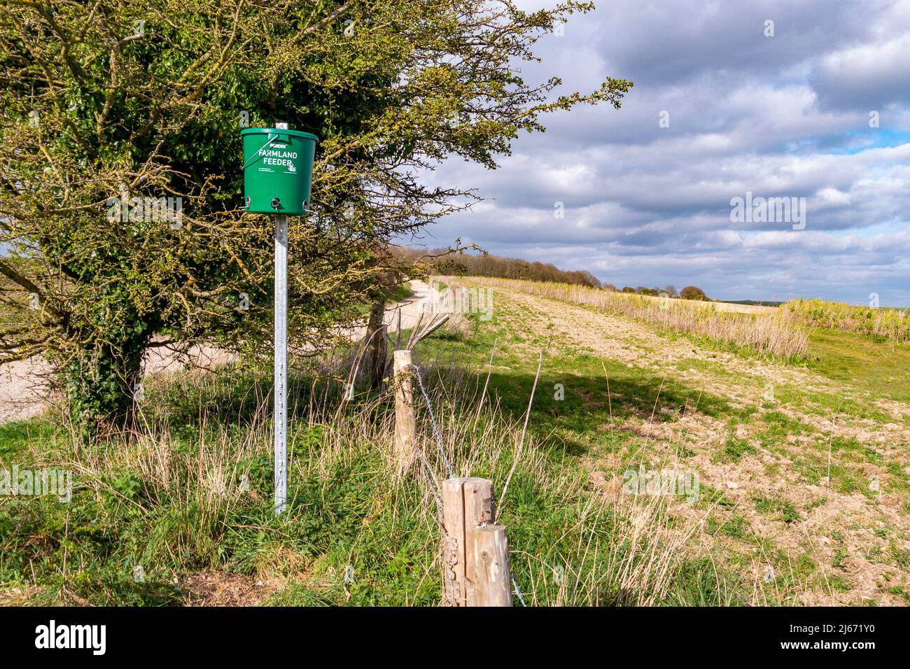 Photographié dans le parc national de South Downs, un mangeoire à oiseaux est en place pour nourrir les plus petits oiseaux des terres agricoles - West Sussex, sud de l'Angleterre, Royaume-Uni. Banque D'Images