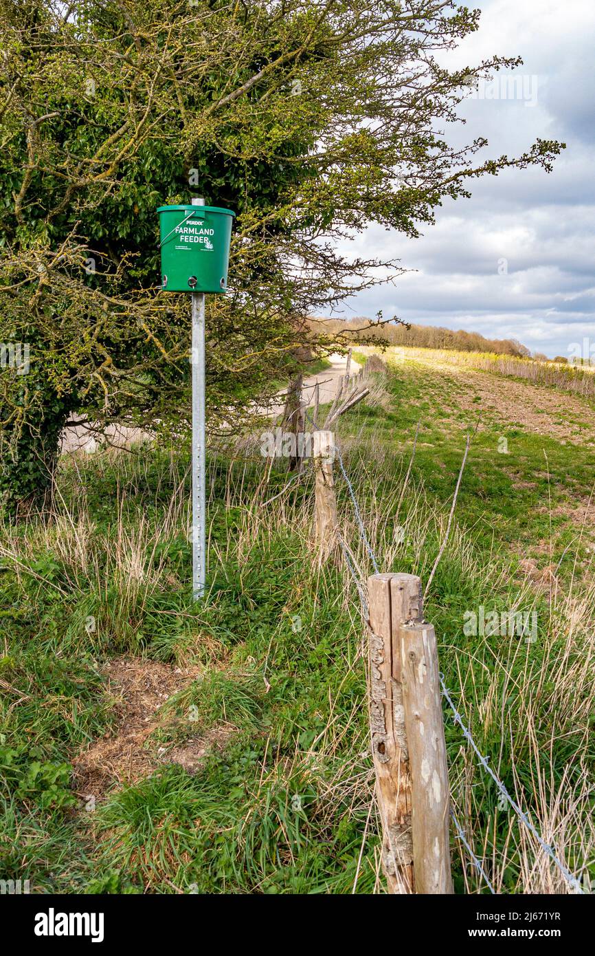 Photographié dans le parc national de South Downs, un mangeoire à oiseaux est en place pour nourrir les plus petits oiseaux des terres agricoles - West Sussex, sud de l'Angleterre, Royaume-Uni. Banque D'Images