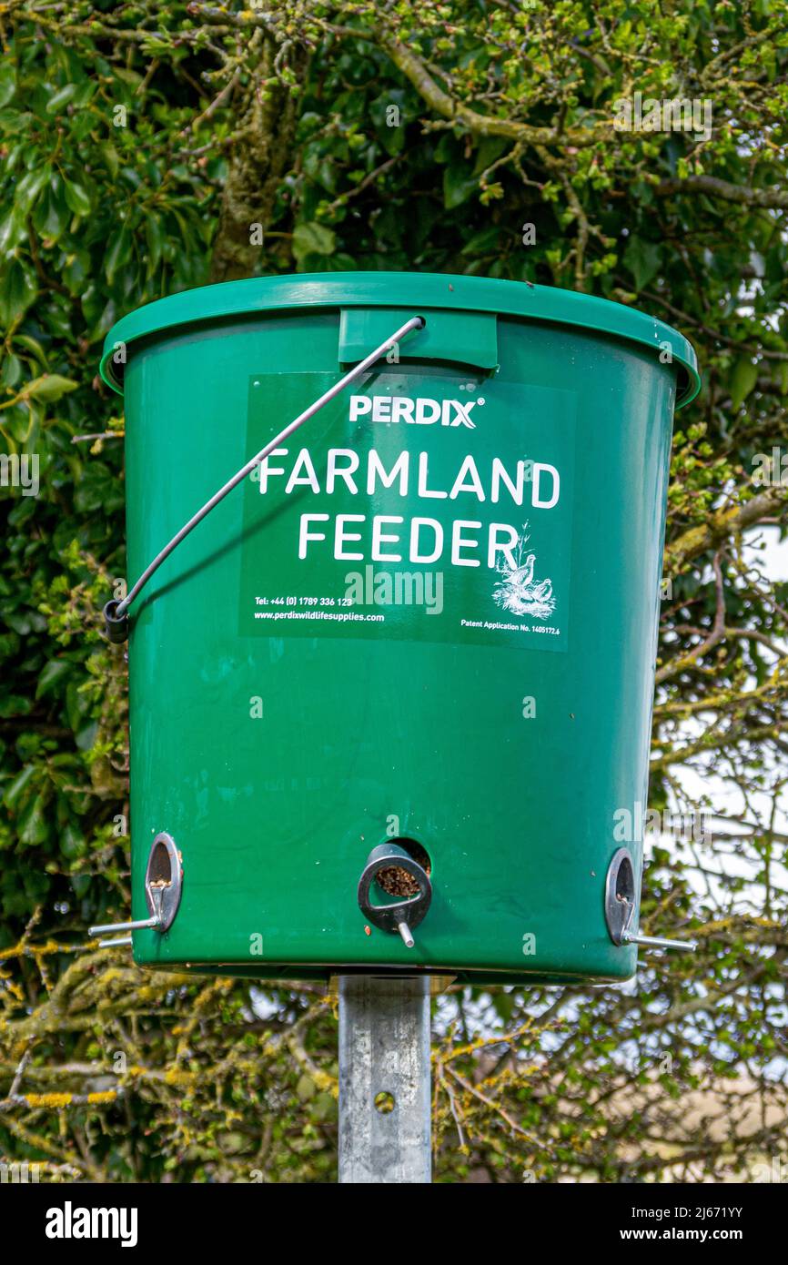 Photographié dans le parc national de South Downs, un mangeoire à oiseaux est en place pour nourrir les plus petits oiseaux des terres agricoles - West Sussex, sud de l'Angleterre, Royaume-Uni. Banque D'Images