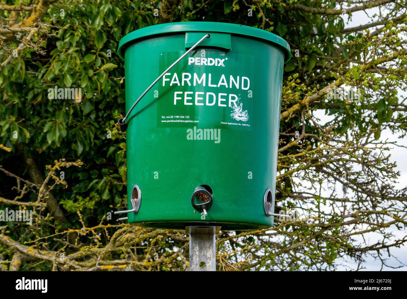 Photographié dans le parc national de South Downs, un mangeoire à oiseaux est en place pour nourrir les plus petits oiseaux des terres agricoles - West Sussex, sud de l'Angleterre, Royaume-Uni. Banque D'Images
