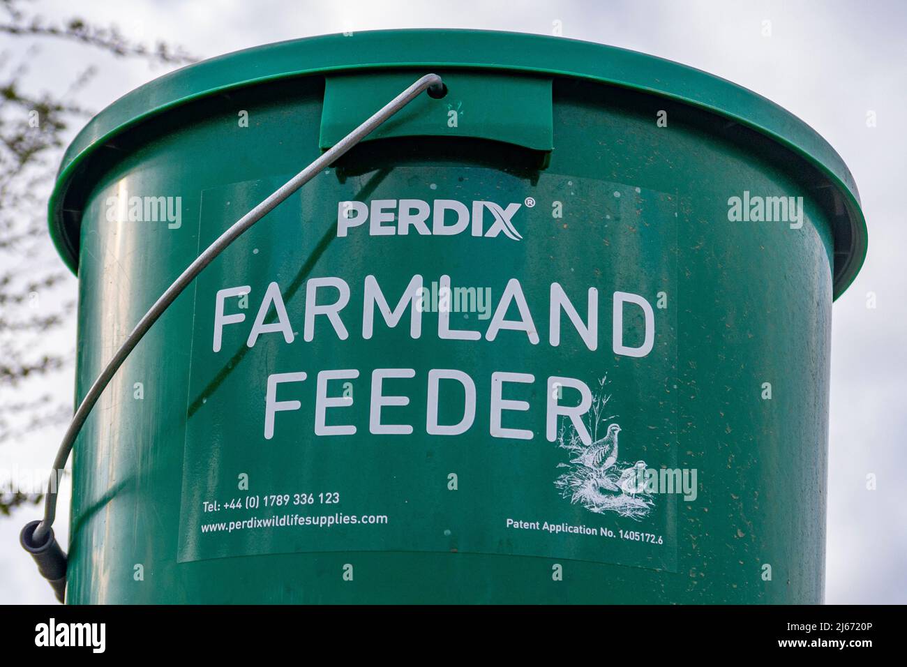 Photographié dans le parc national de South Downs, un mangeoire à oiseaux est en place pour nourrir les plus petits oiseaux des terres agricoles - West Sussex, sud de l'Angleterre, Royaume-Uni. Banque D'Images