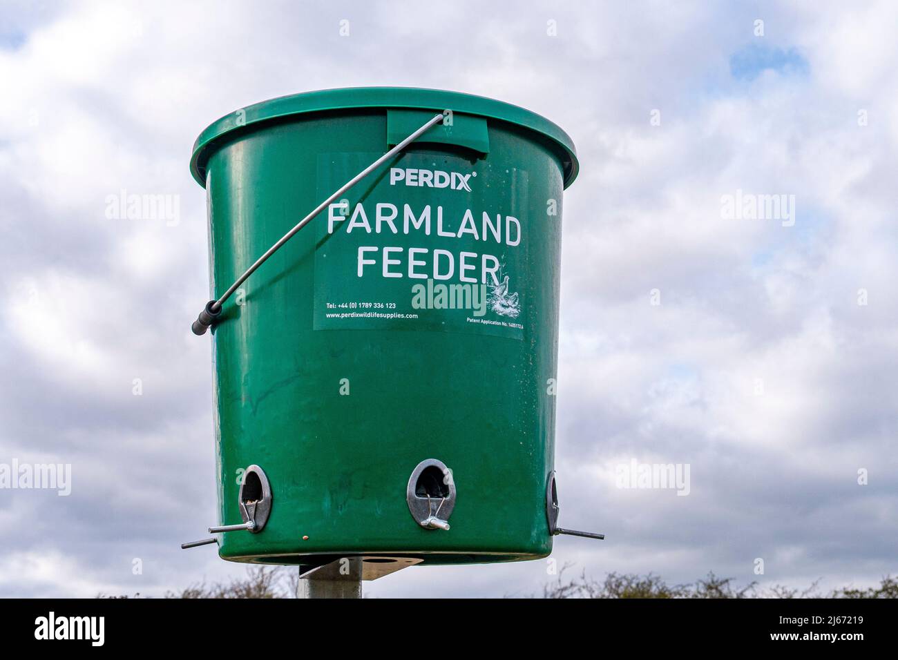 Photographié dans le parc national de South Downs, un mangeoire à oiseaux est en place pour nourrir les plus petits oiseaux des terres agricoles - West Sussex, sud de l'Angleterre, Royaume-Uni. Banque D'Images