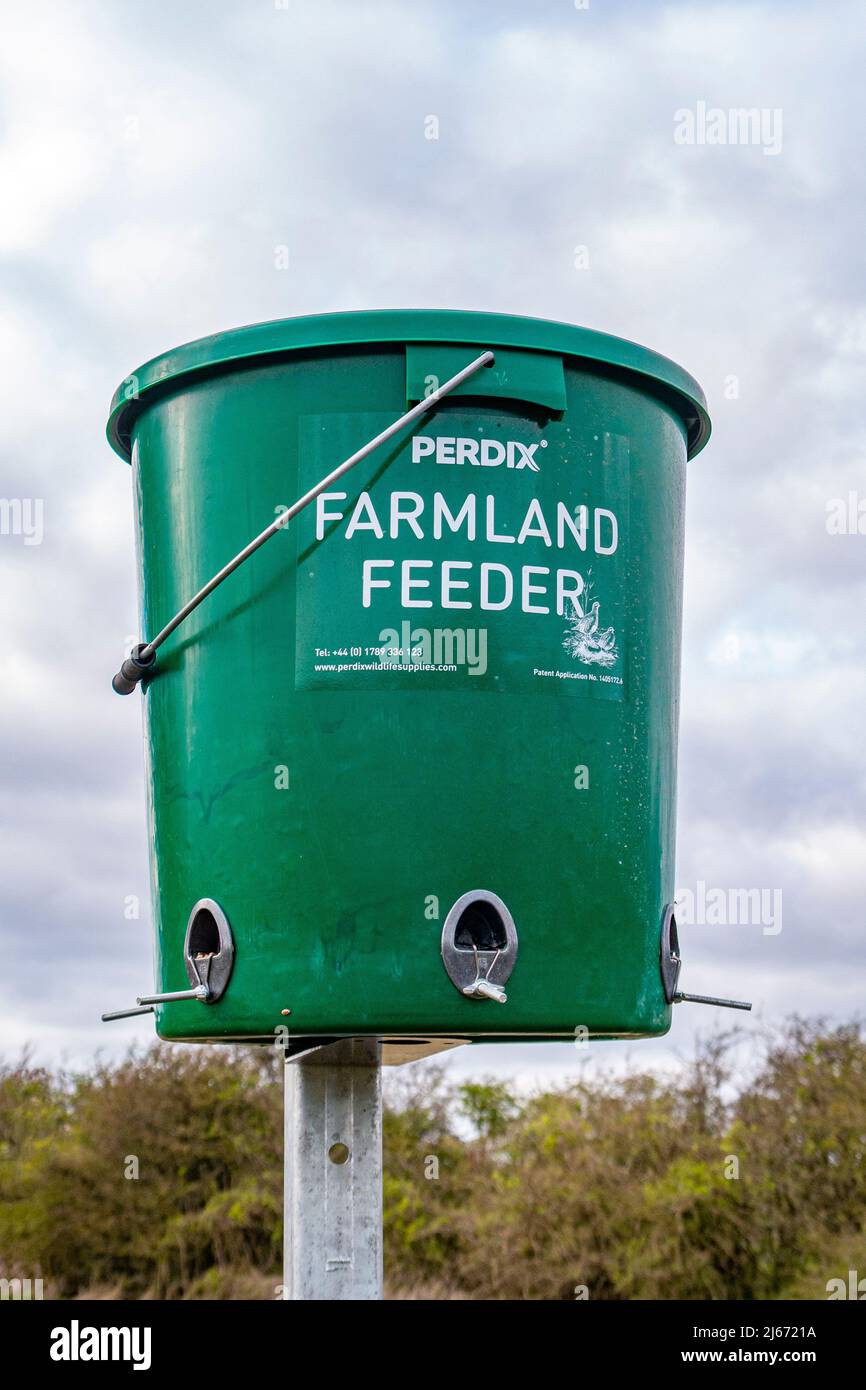 Photographié dans le parc national de South Downs, un mangeoire à oiseaux est en place pour nourrir les plus petits oiseaux des terres agricoles - West Sussex, sud de l'Angleterre, Royaume-Uni. Banque D'Images