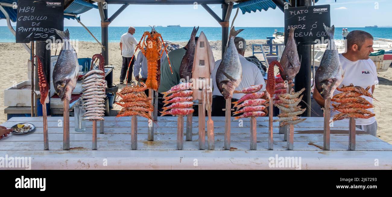 Málaga, Espagne; 14 avril 2022: Cuisine typique de la côte andalouse: Espetos de sardines, crevettes, calmars, vivaneau... prêts à être cuits au feu Banque D'Images