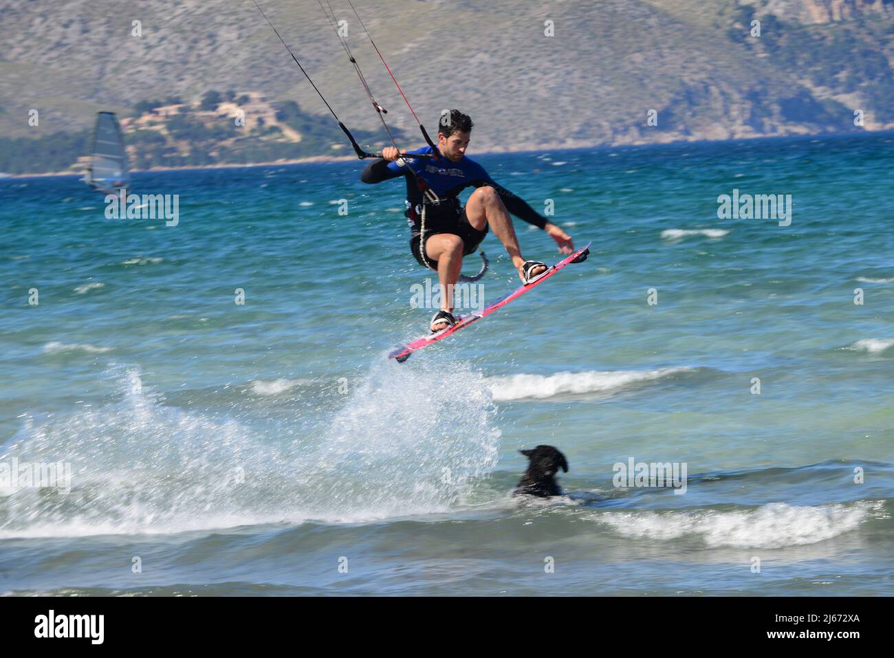 Kite surfeur chassé par le chien dans la tache de Port de Pollenca, Majorque, Espagne Banque D'Images