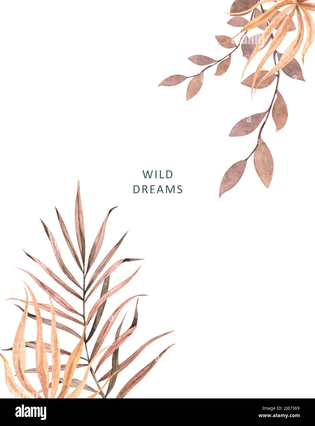 Mariage de la lunaria séchée, orchidée, pampas herbe couronne florale. Carte d'invitation à fleurs séchées exotiques, feuilles de palmier et boho. Cadre de modèle aquarelle, enregistrer Banque D'Images