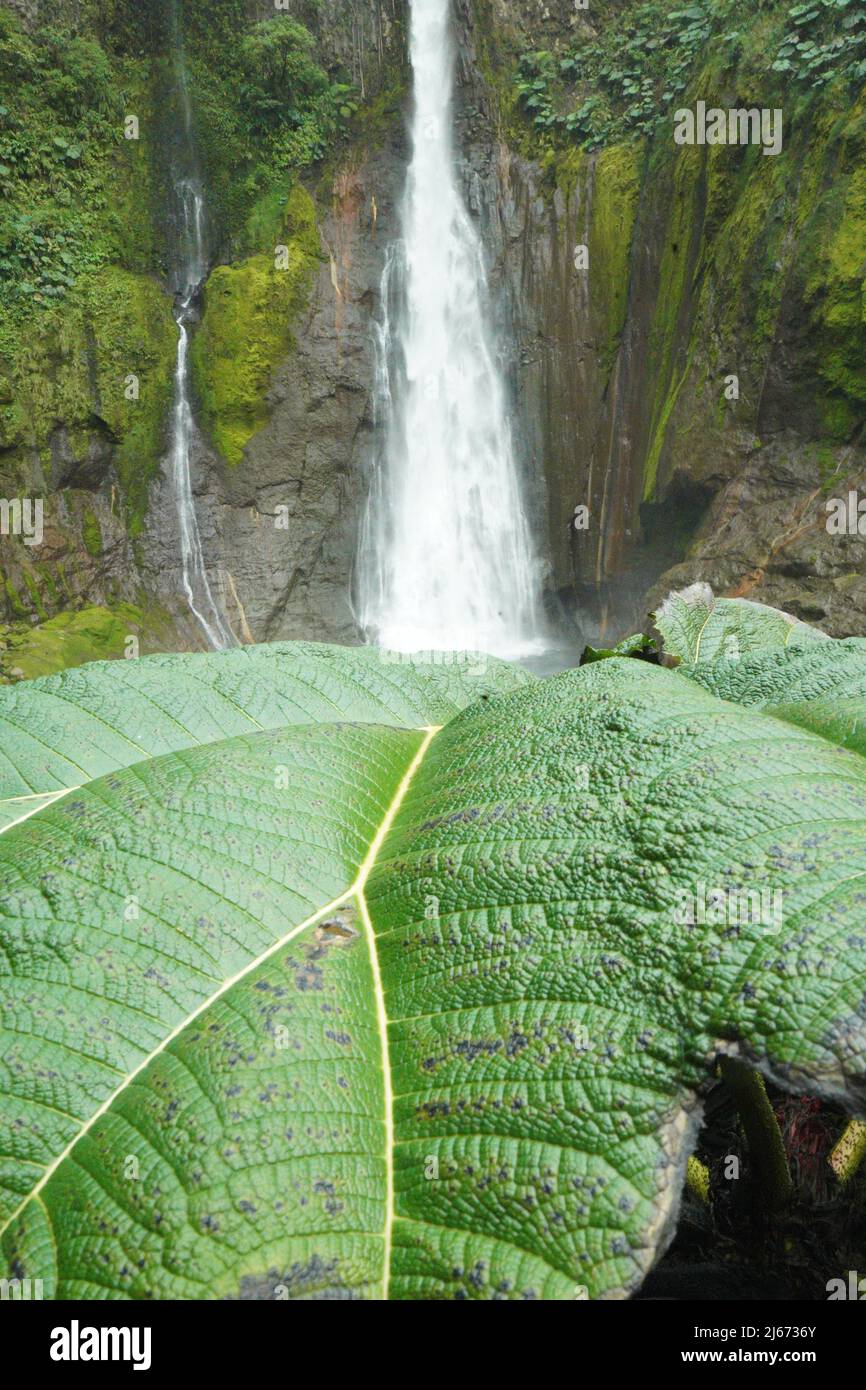 Chute d'eau de Bajos del Toro du Costa Rica Drone Banque D'Images