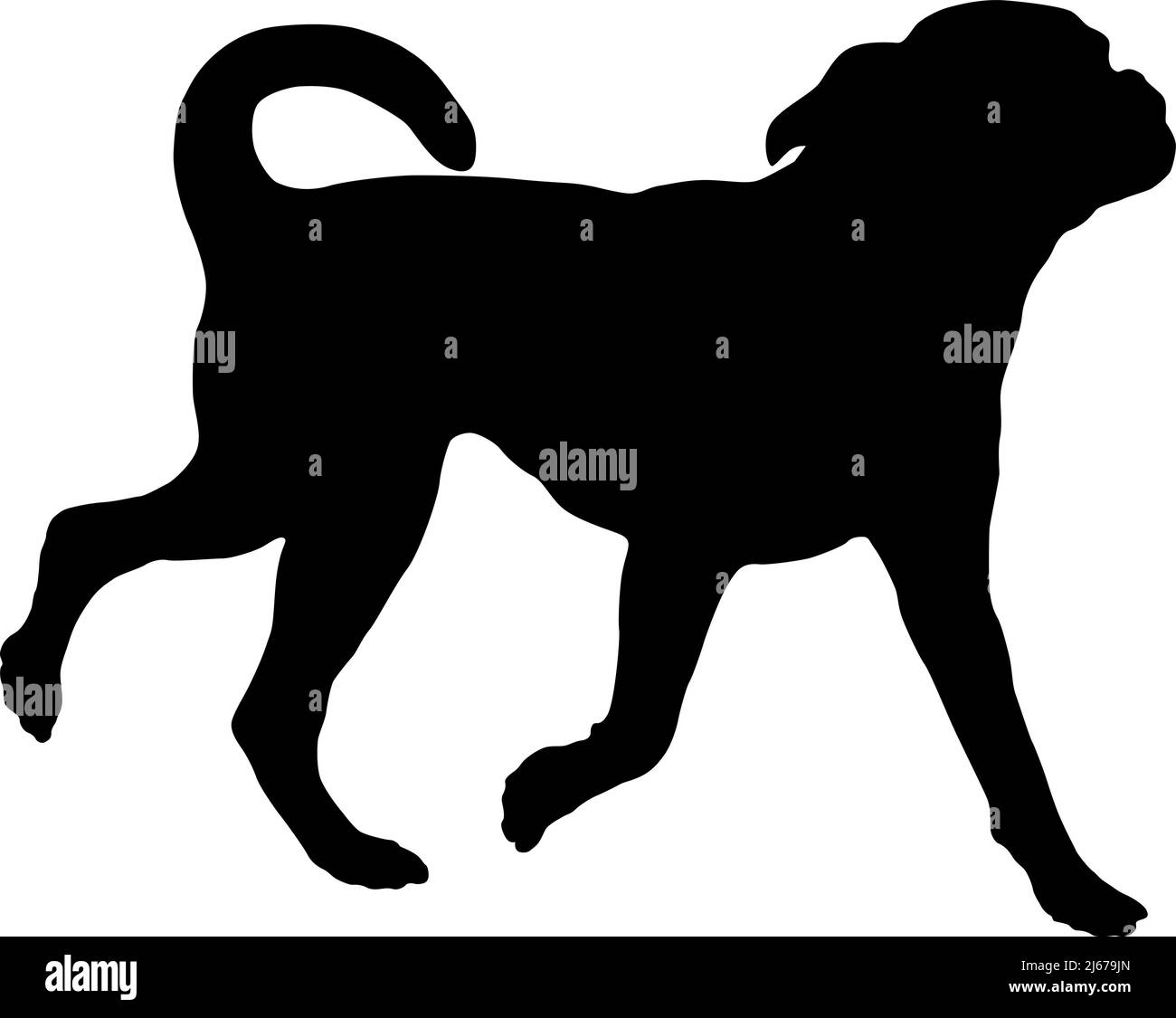 Silhouette de chien noire. Petit Brabancon de course à pied chiot. Animaux de compagnie. Isolé sur un fond blanc. Illustration vectorielle. Illustration de Vecteur Silhouette de chien noire. Petit Brabancon de course à pied chiot. Animaux de compagnie. Isolé sur un fond blanc. Illustration vectorielle. Illustration de Vecteur