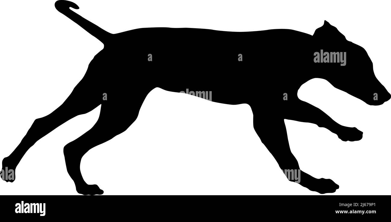Silhouette de chien noire. Chien de course à pied de dalmatie chiot. Animaux de compagnie. Isolé sur un fond blanc. Illustration vectorielle. Illustration de Vecteur Silhouette de chien noire. Chien de course à pied de dalmatie chiot. Animaux de compagnie. Isolé sur un fond blanc. Illustration vectorielle. Illustration de Vecteur