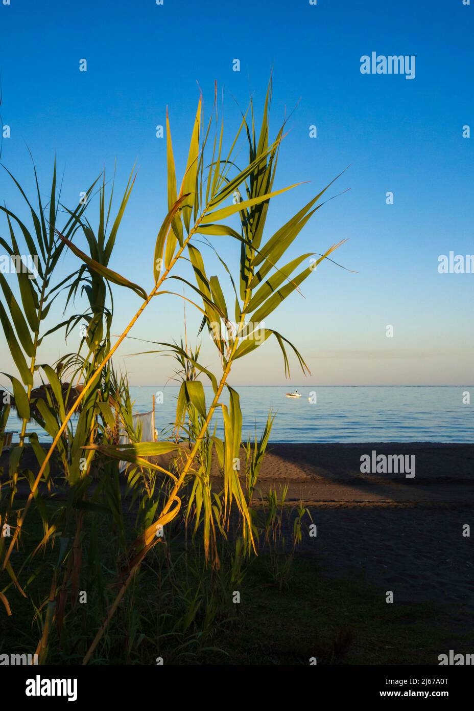 Chemin en bois sur la plage Banque D'Images