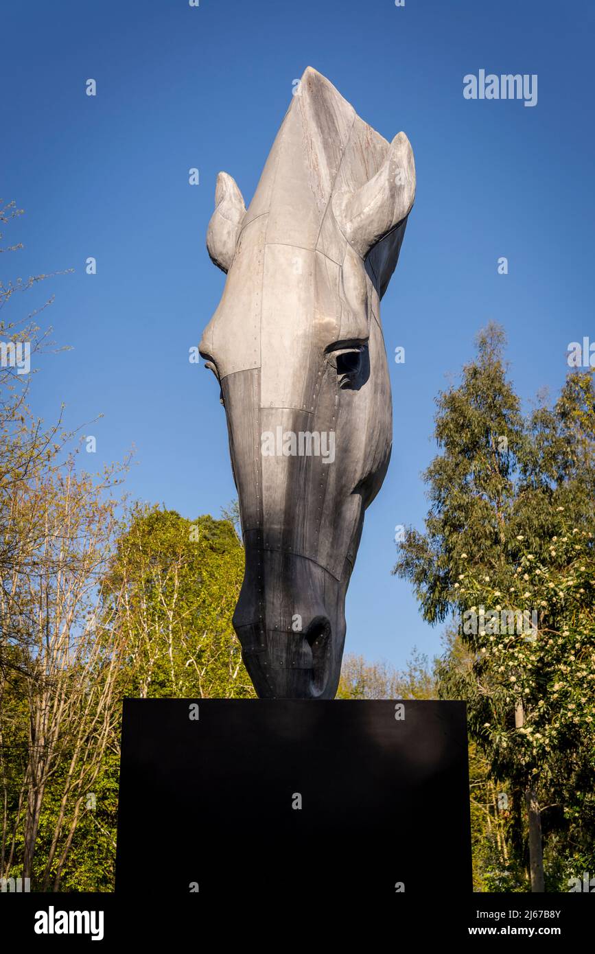 Still Water Sculpture, 2012, par NIC Fiddian-Green au sommet de Battleston Hill, Wisley Garden, Surrey, Angleterre, Royaume-Uni Banque D'Images