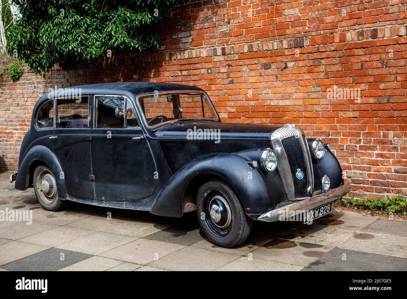 1952 Daimler 2,5 voiture d'époque encore utilisée en 2022 Banque D'Images