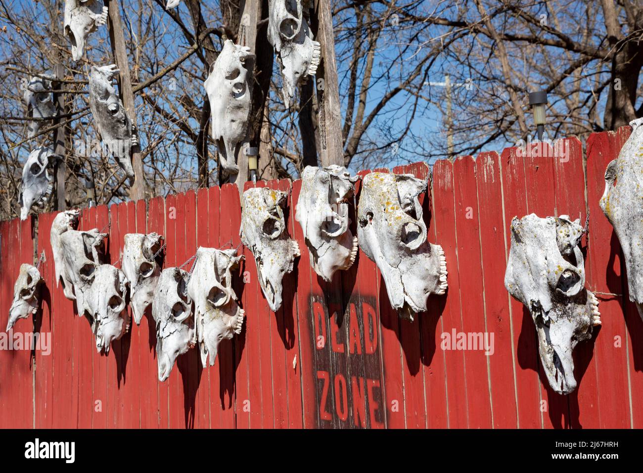 Coffeyville, Kansas - des crânes et des signes d'animaux restent en signe de protestation dans la « zone morte » après un déversement de pétrole de 2007 à la raffinerie de pétrole de Coffeyville Resources. Banque D'Images