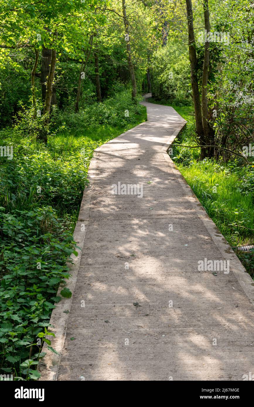 Sentier pédestre dans le parc, réserve naturelle de Saint-Tchad, Angleterre, avril 2022. Banque D'Images