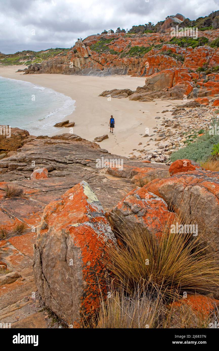 Femme marchant jusqu'à Castle Rock, Flinders Island Banque D'Images