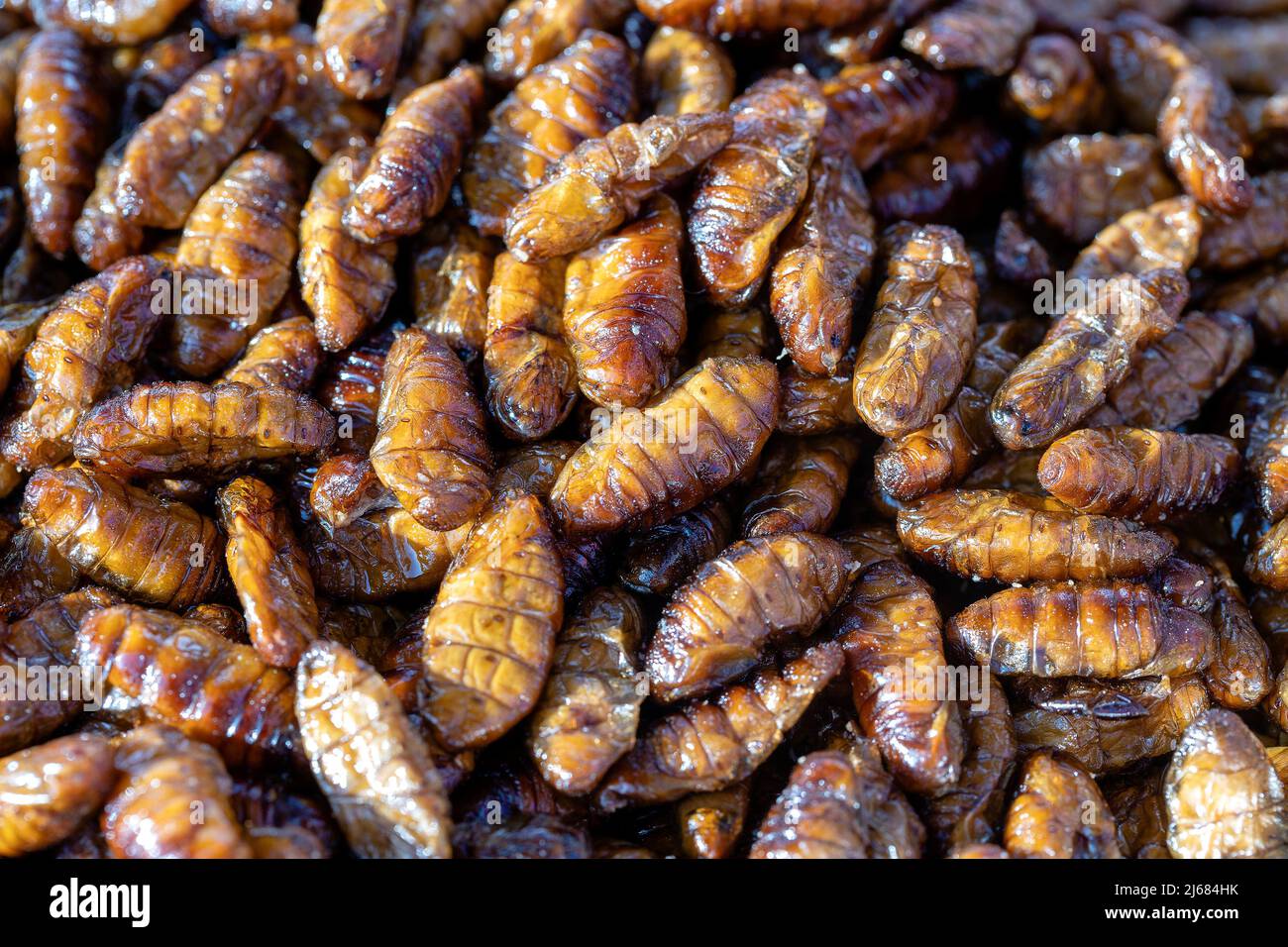 Les vers à soie frit délicieux dans l'alimentation de rue en Thaïlande. Ils sont frits jusqu'à atteindre un état complet de la croustillance, fortement salé, et mangé comme Banque D'Images