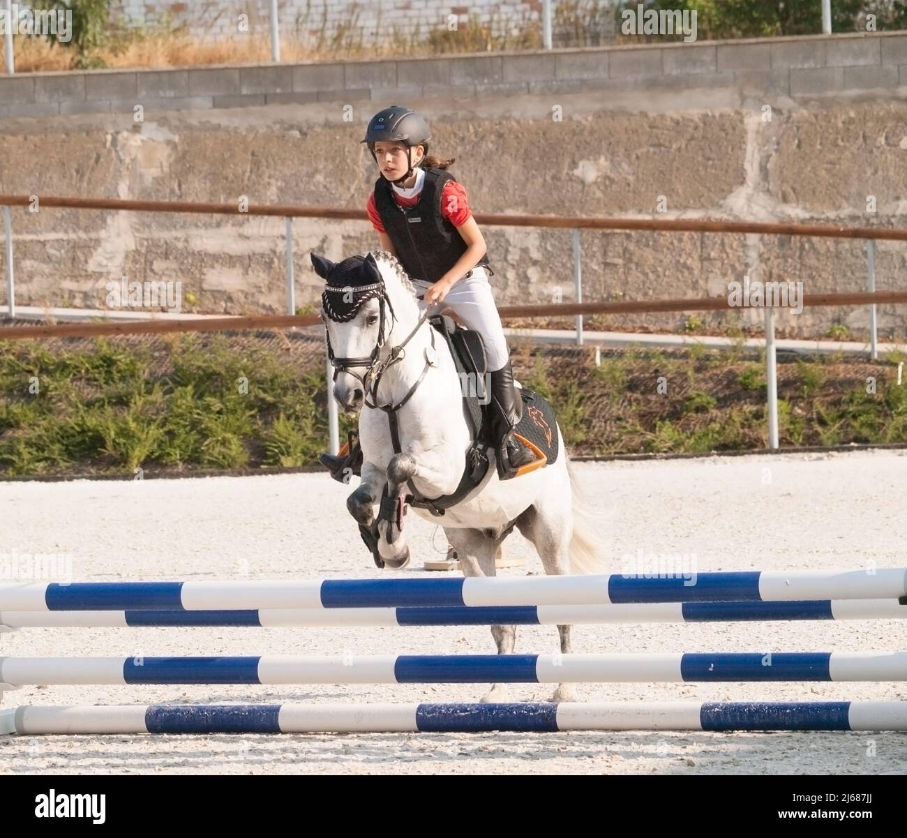 Fille avec poney roan sur la compétition de saut de obstacles Banque D'Images
