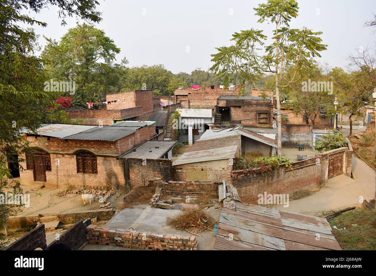Village indien rural, vue de dessus, village de Barabanki, Uttar Pradesh, Inde Banque D'Images