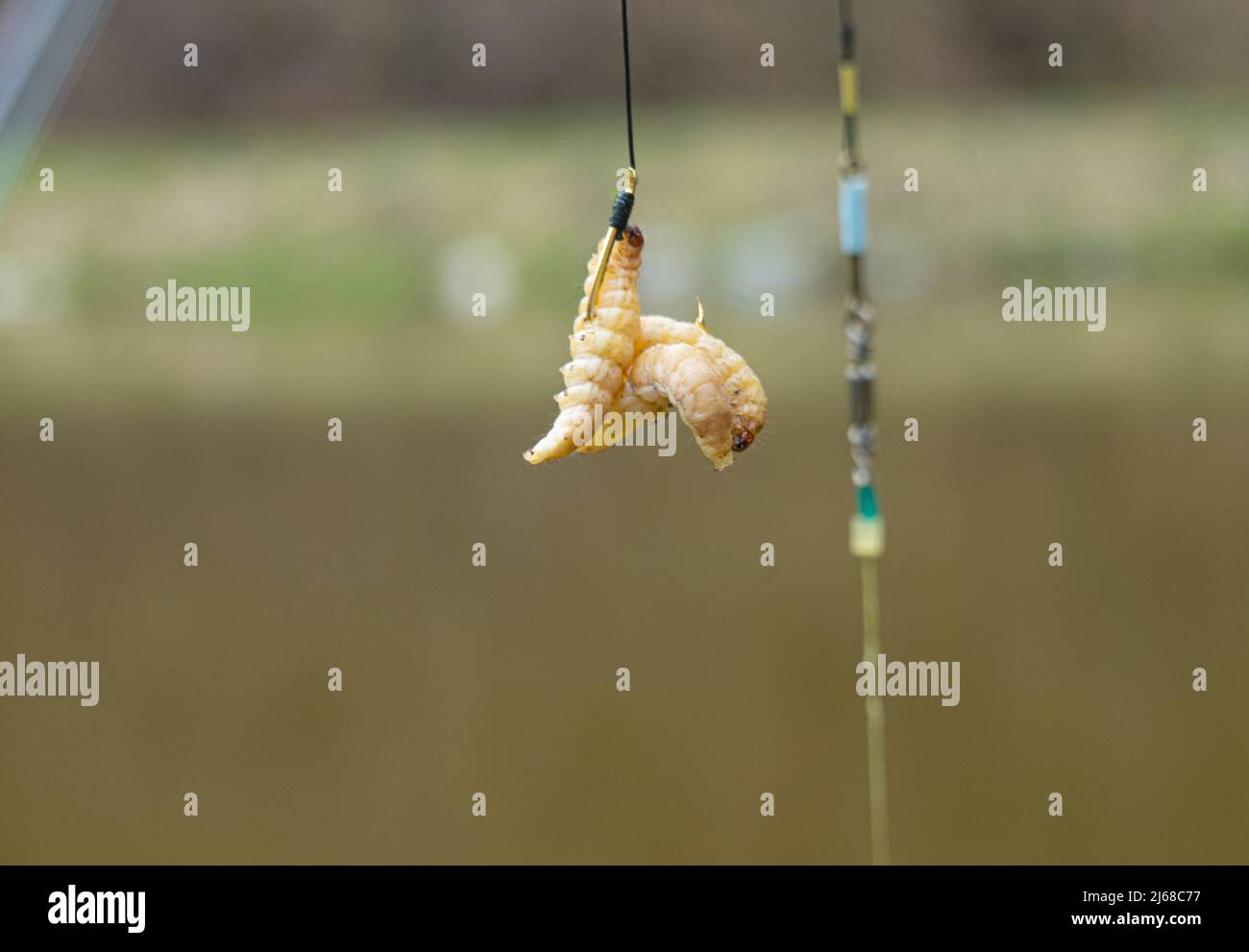 Un week-end à 'Galien'. Il y a plusieurs étangs de pêche ici, principalement avec de la truite. Il y a des cabanes simples à louer et vous pouvez aussi griller le poisson directement Banque D'Images