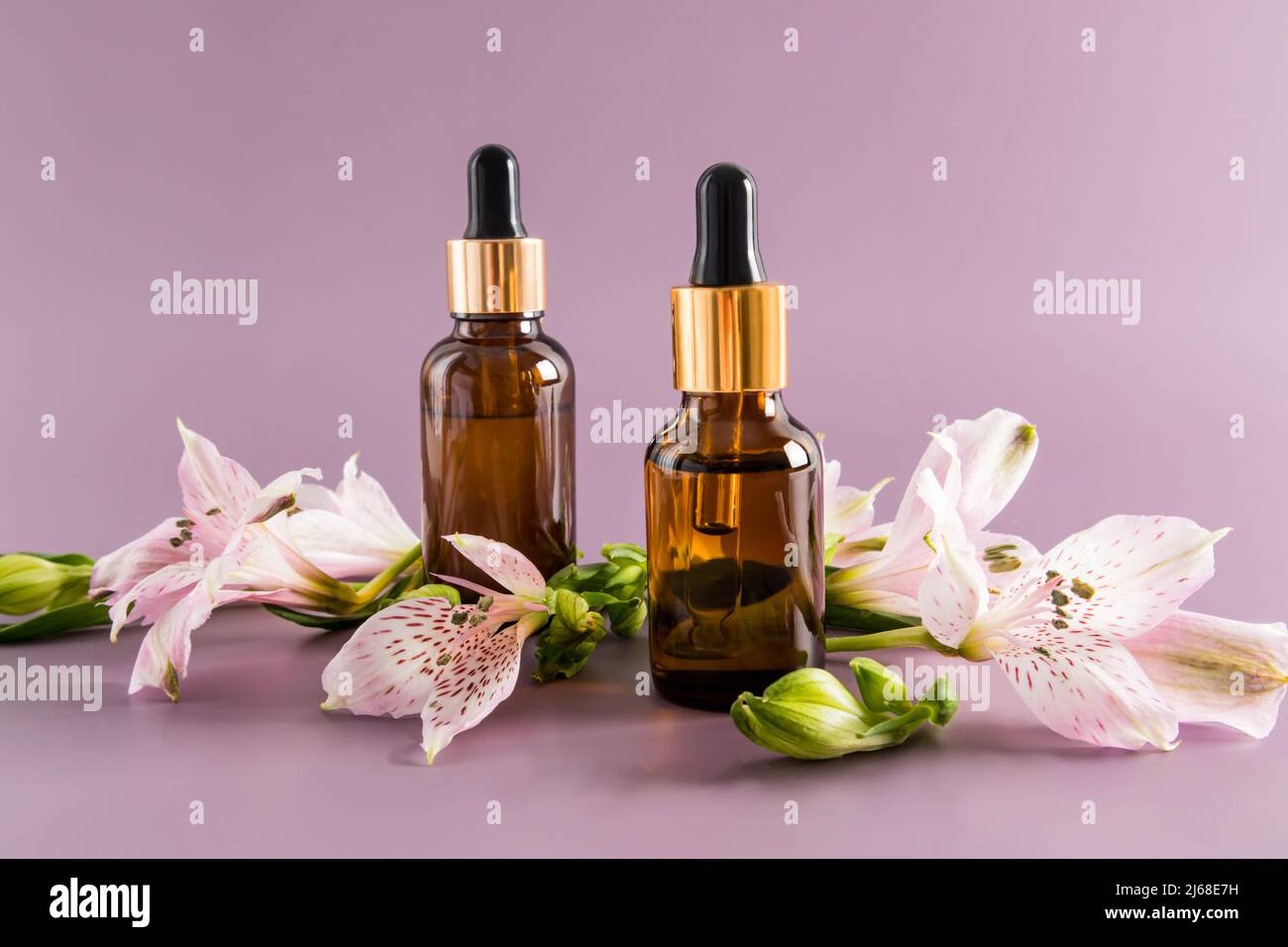 huile cosmétique, huile essentielle ou sérum d'auto-soin en deux bouteilles sur fond violet avec fleurs fraîches. cosmétiques naturels Banque D'Images