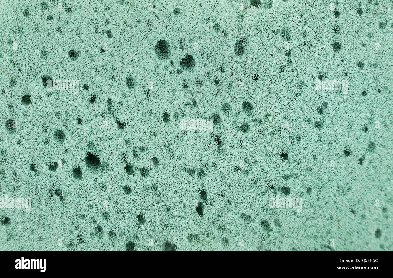Texture détaillée éponge verte, fond de texture éponge Banque D'Images
