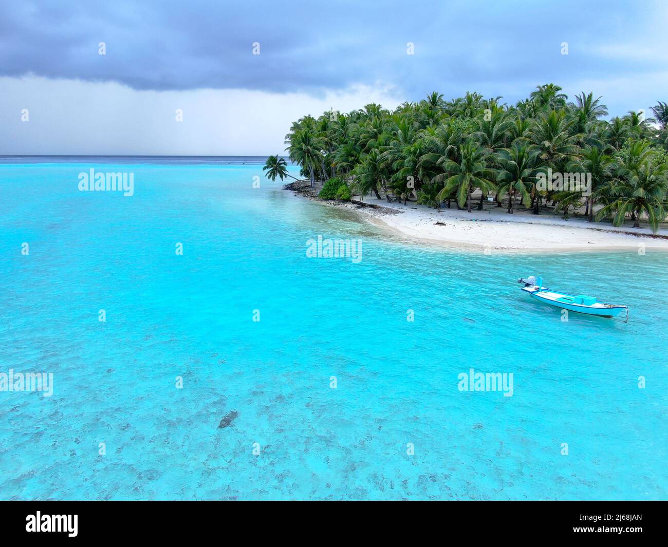 Paysage marin des îles Maldive bleues avec feuillage geen Banque D'Images