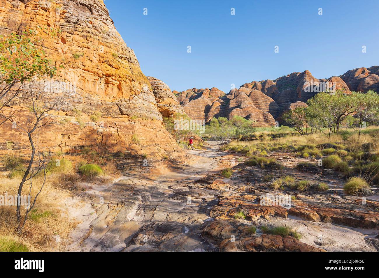 Sentier de randonnée vers le belvédère Piccaninny, le parc national de Purnululu ou Bungle Bungles, site classé au patrimoine mondial de l'UNESCO dans les Kimberley, en Australie occidentale, Banque D'Images