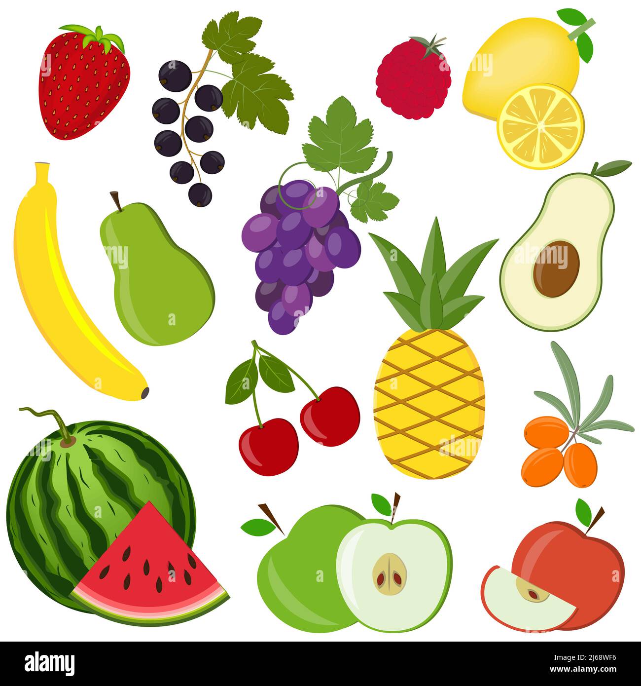 Fruit motif de différents fruits, illustration de vecteur de couleur Illustration de Vecteur
