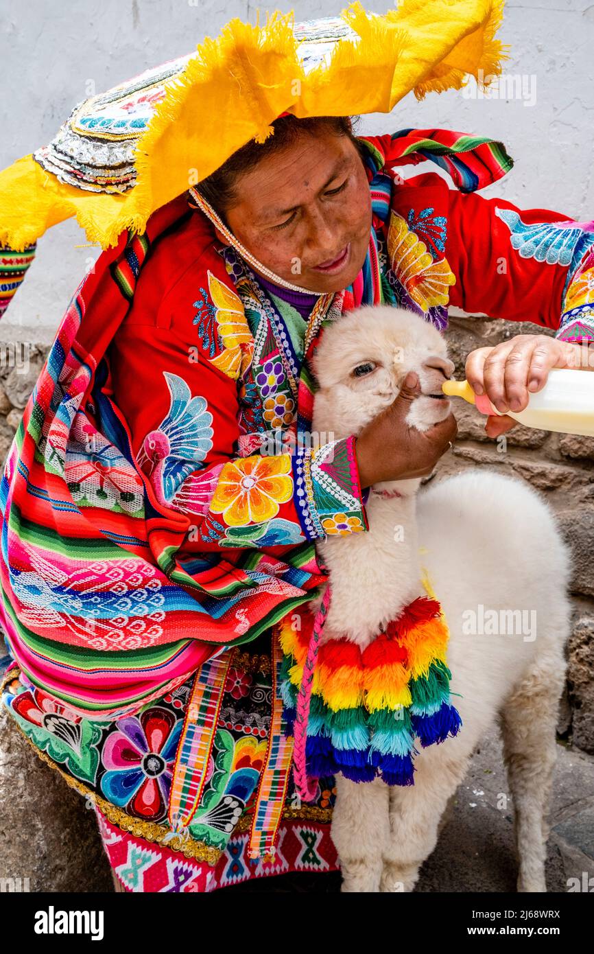 Une femme indigène en costume traditionnel nourrit son animal Alpaca un peu de lait en bouteille dans la région de San Blas de Cusco, province de Cusco, Pérou. Banque D'Images