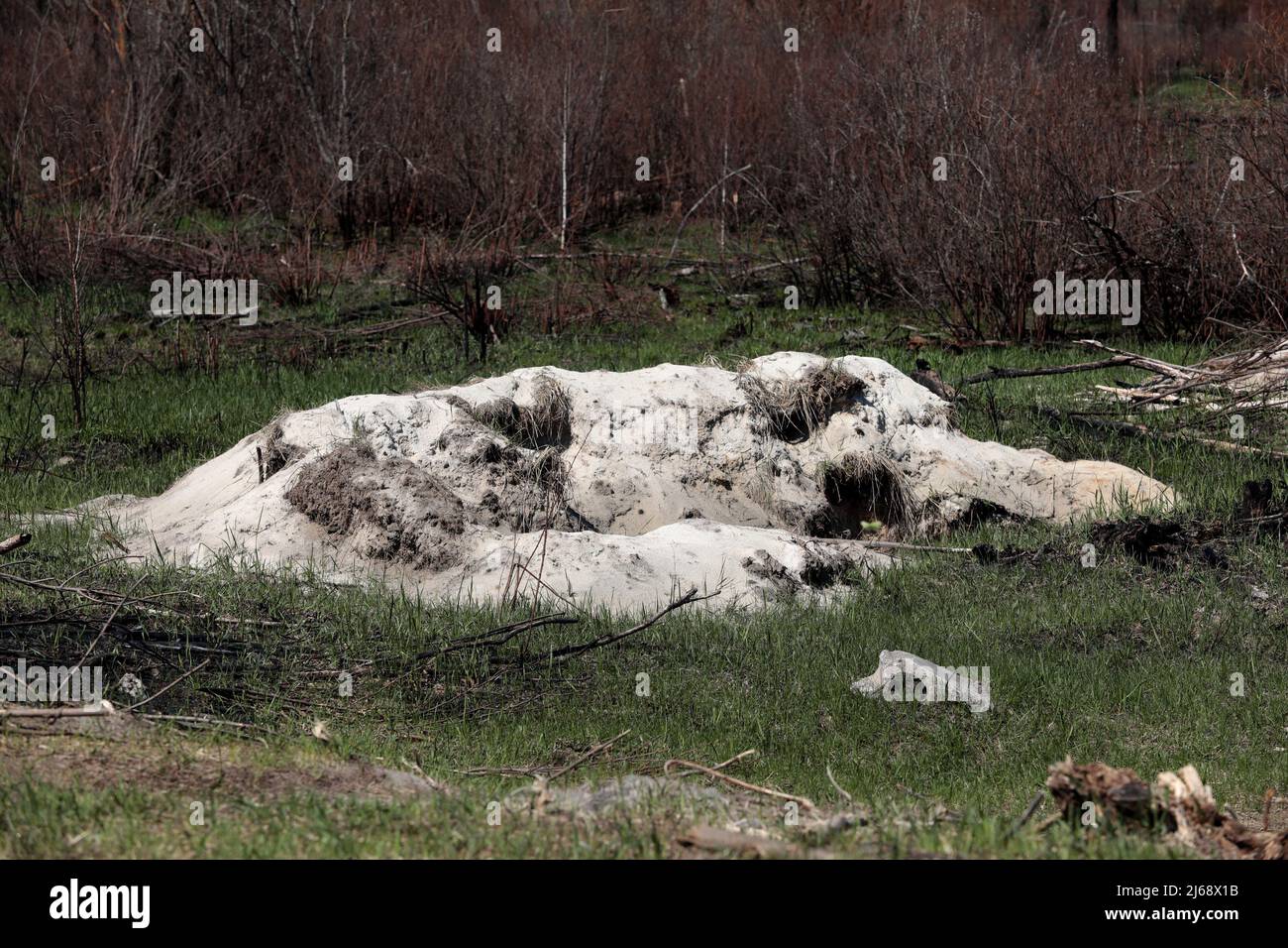 Tchernobyl, Ukraine. 28th avril 2022. Les tranchées creusées par les occupants russes dans la forêt rouge sont photographiées près de la centrale nucléaire de Tchernobyl dans la zone d'exclusion de Tchernobyl après le retrait des troupes russes, région de Kiev, nord de l'Ukraine, le 28 avril 2022. Les forces russes ont quitté la zone entourant Tchernobyl, mais les responsables ukrainiens sonnent maintenant l'alarme que les troupes étaient probablement exposées à de fortes quantités de rayonnement après avoir intentionnellement perturbé la poussière radioactive. Les travailleurs de la centrale nucléaire de Tchernobyl (NPP), site de la catastrophe nucléaire de 1986, ont mis en garde contre W Banque D'Images