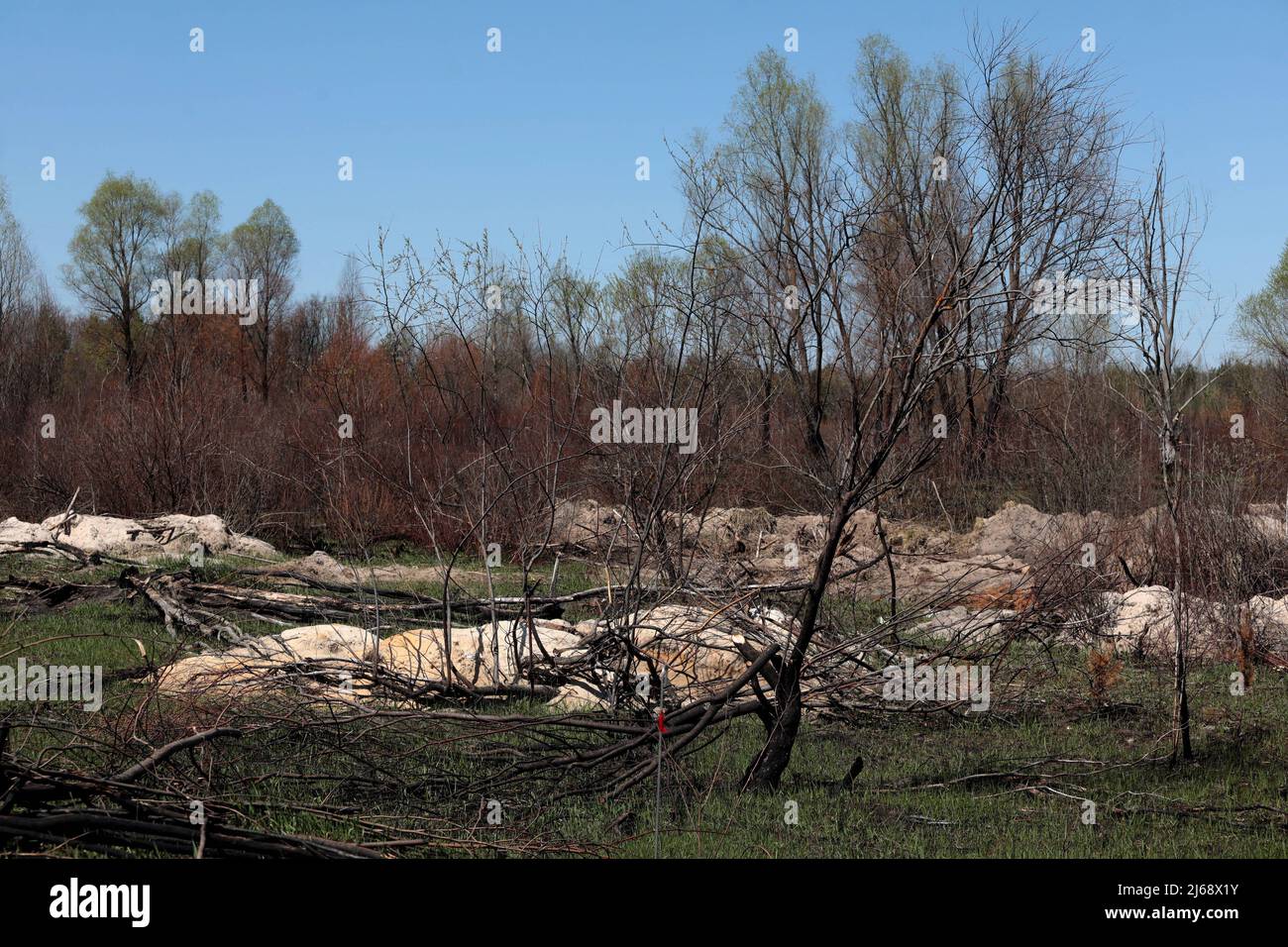 Tchernobyl, Ukraine. 28th avril 2022. Les tranchées creusées par les occupants russes dans la forêt rouge sont photographiées près de la centrale nucléaire de Tchernobyl dans la zone d'exclusion de Tchernobyl après le retrait des troupes russes, région de Kiev, nord de l'Ukraine, le 28 avril 2022. Les forces russes ont quitté la zone entourant Tchernobyl, mais les responsables ukrainiens sonnent maintenant l'alarme que les troupes étaient probablement exposées à de fortes quantités de rayonnement après avoir intentionnellement perturbé la poussière radioactive. Les travailleurs de la centrale nucléaire de Tchernobyl (NPP), site de la catastrophe nucléaire de 1986, ont mis en garde contre W Banque D'Images