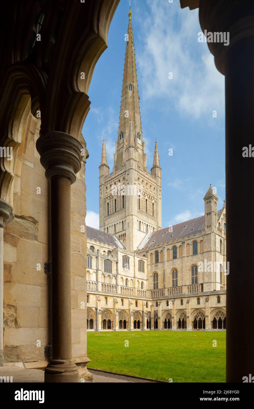 Après-midi de printemps aux cloîtres de la cathédrale de Norwich, Norwich, Angleterre. Banque D'Images