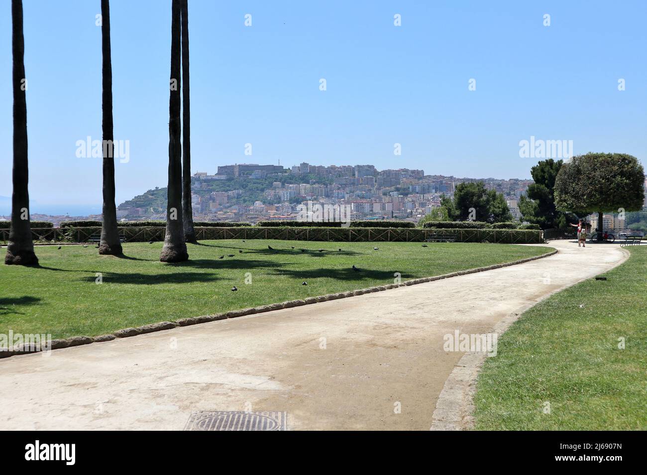 Naples - Scorcio panoramico dal Belvedere del Real Bosco di Capodimonte Banque D'Images