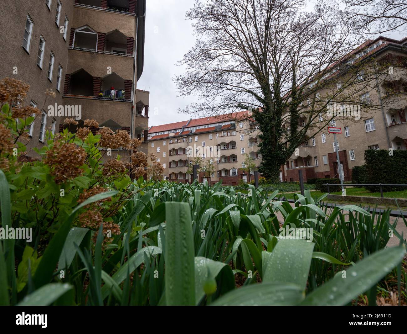 Appartements de travail dans la rue Rudolstädter dans la ville. Ancienne architecture à Charlottenburg Wilmersdorf. Herbe verte et plantes avec gouttes de pluie. Banque D'Images