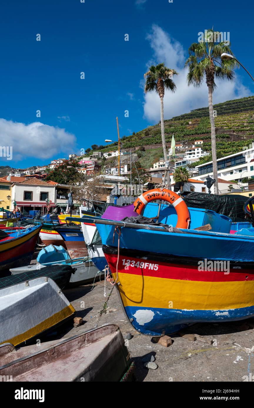 Bateaux de pêche colorés à Camara de Lobos, Funchal, Madère, Portugal, Atlantique, Europe Banque D'Images