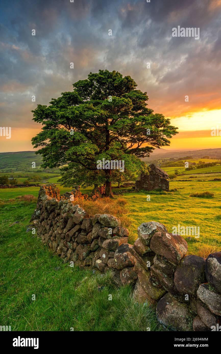 Coucher de soleil spectaculaire à Roach End avec la grange abandonnée, les cafards, Staffordshire, Angleterre, Royaume-Uni, Europe Banque D'Images