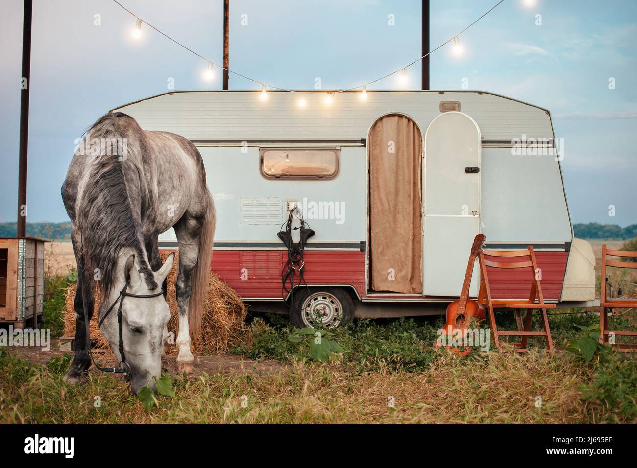 Beau cheval gris, remorque mobile, guirlande lumineuse, guitare, chaises pliantes pour repos, balles de foin, selle et bride. Munitions pour l'équitation, zone de photo de pays. Village, mange de l'herbe Banque D'Images